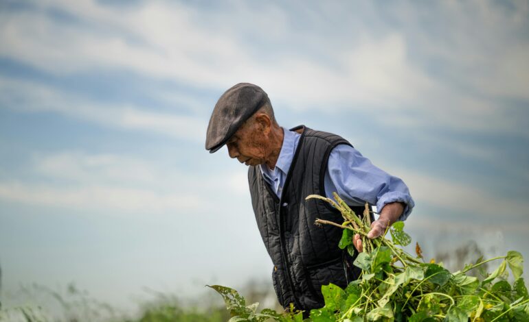 Lavoro povero e tagli ai servizi, per Vivarelli le aree interne abruzzesi sono al collasso